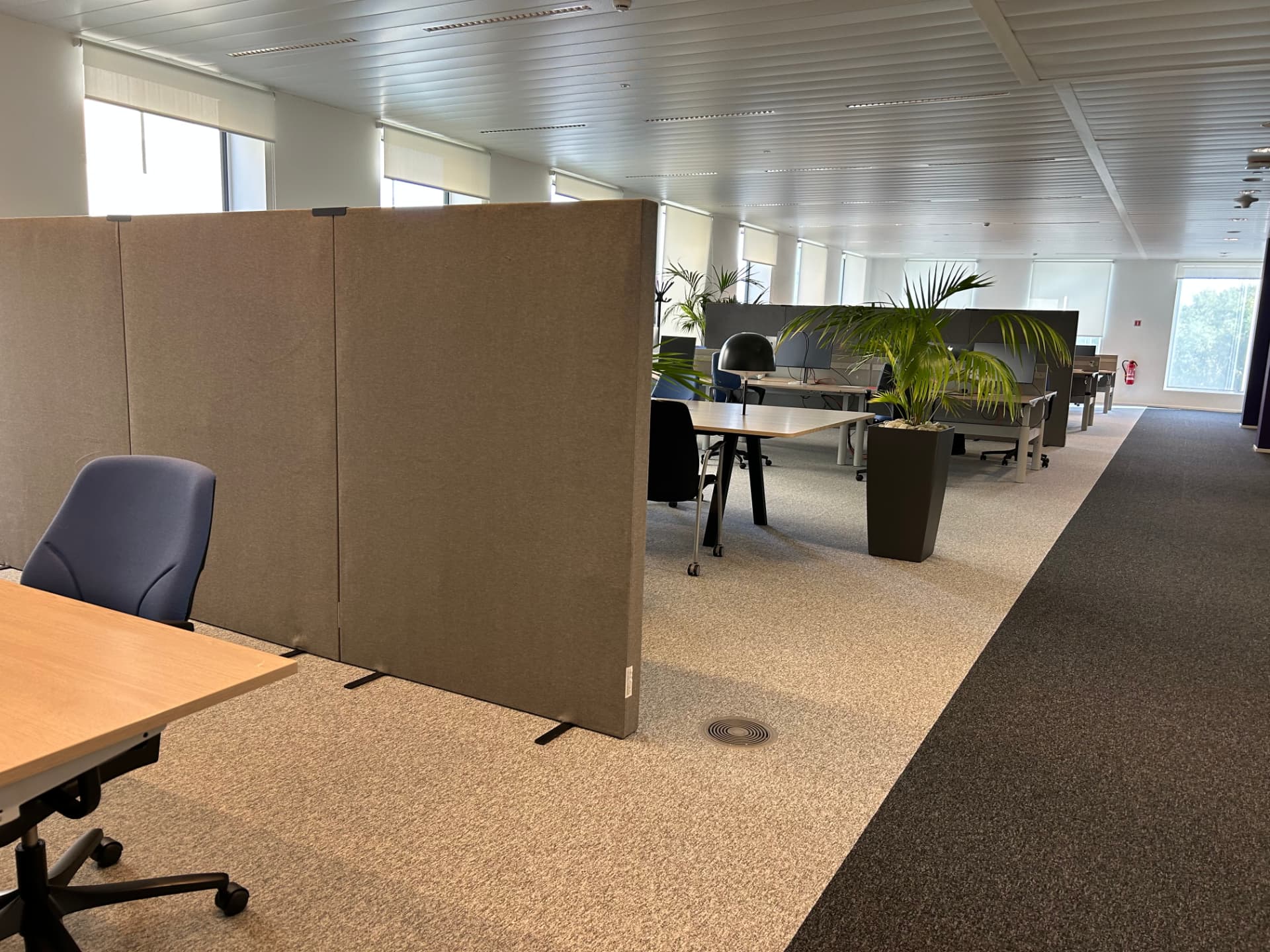 Cloisons acoustiques autoportantes grises dans un bureau paysager